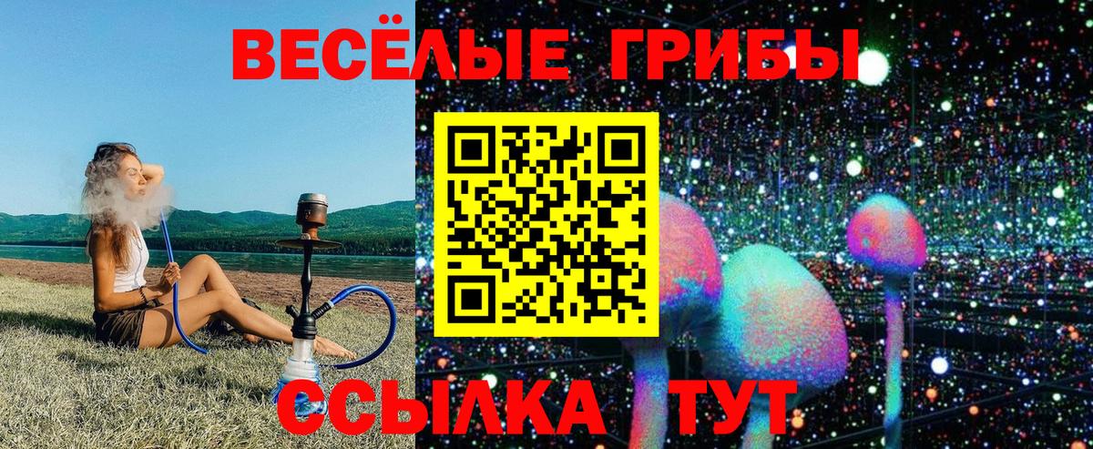 Псилоцибиновые грибы прущие грибы Краснодар