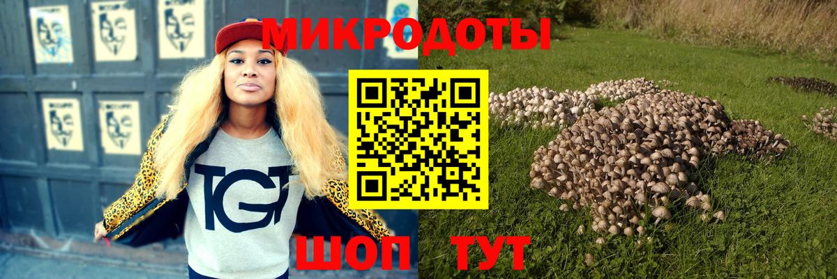 Краснодар  Псилоцибиновые грибы Psilocybine cubensis  дарнет шоп  Вход с VPN 